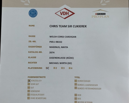 chris team sir cukierek
